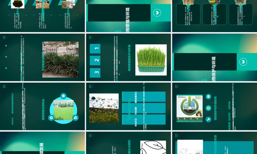 植物生产与环境第1章课件汇总