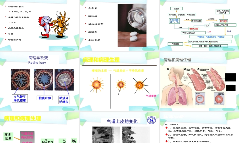 小儿支气管哮喘课件