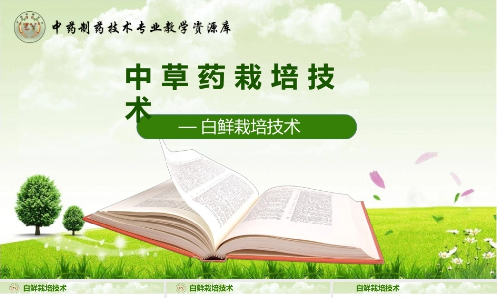 中草药栽培技术白鲜皮栽培技术白鲜栽培技术