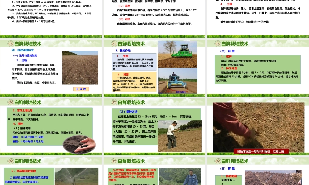 中草药栽培技术白鲜皮栽培技术白鲜栽培技术