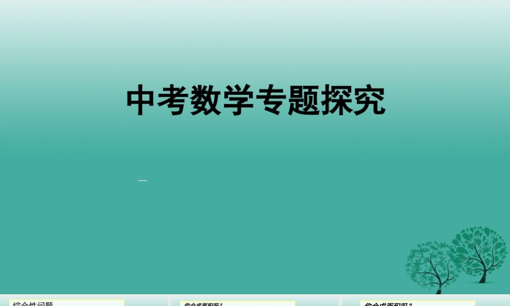 人教版初中中考数学九年级数学专题复习课件人教版PPT课件