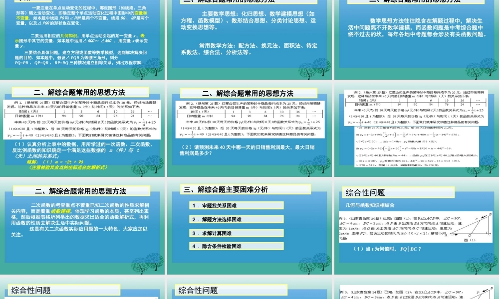 人教版初中中考数学九年级数学专题复习课件人教版PPT课件