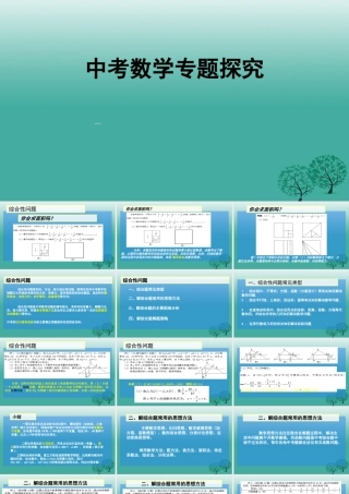 人教版初中中考数学九年级数学专题复习课件人教版PPT课件