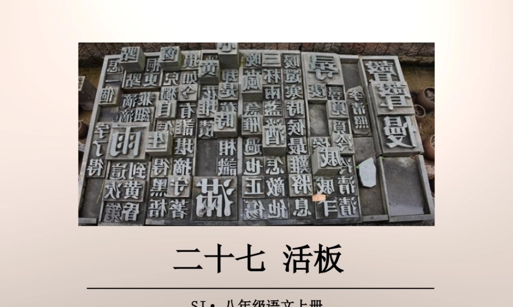 《活板》完整课件