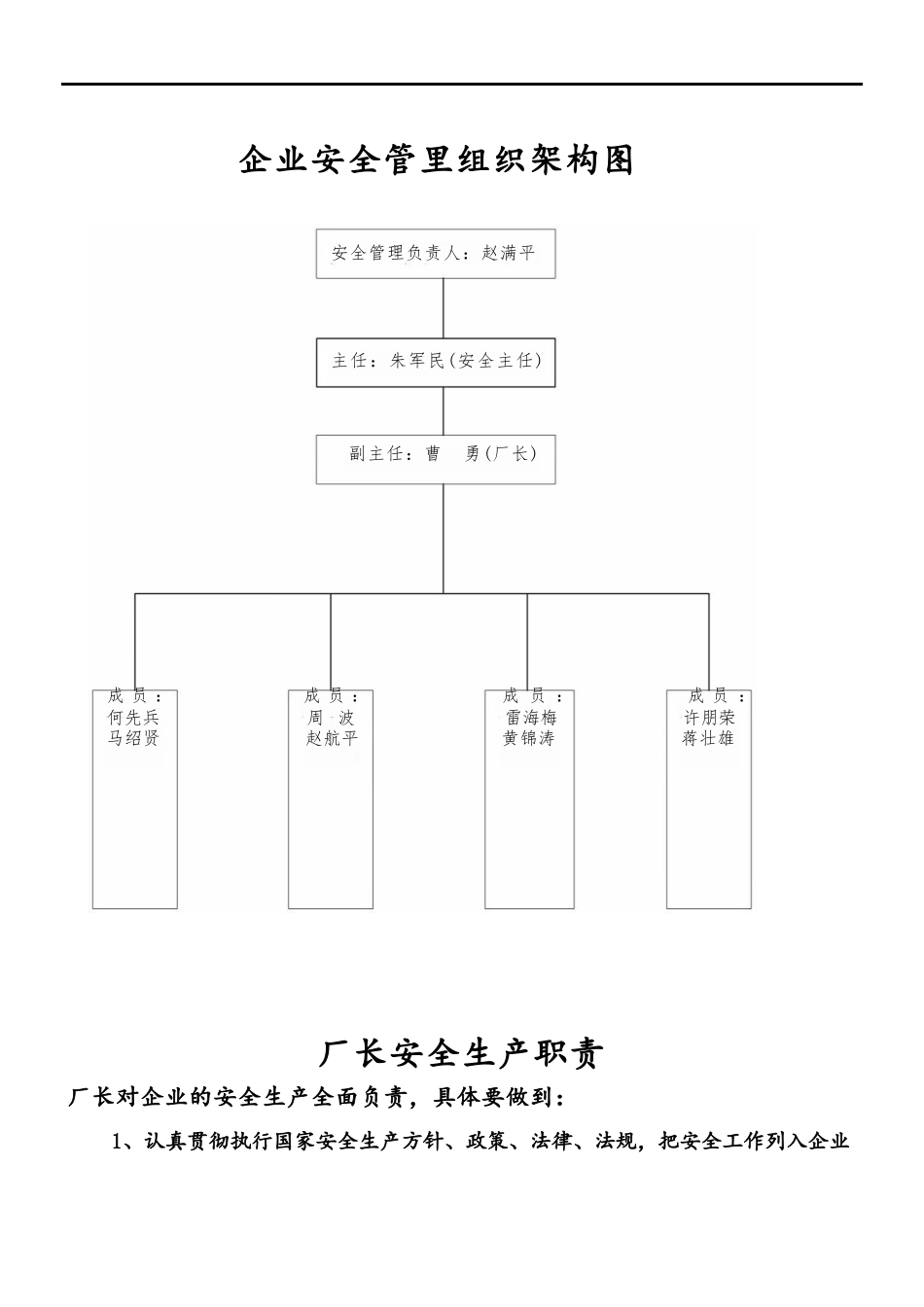 企业安全管里组织架构图_第1页