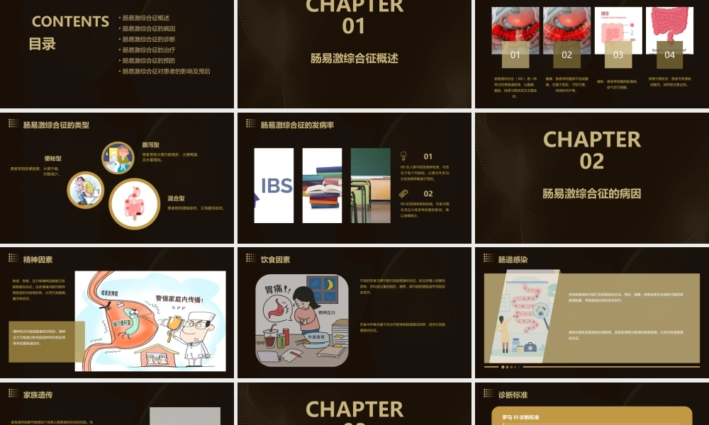 肠易激综合征ppt课件