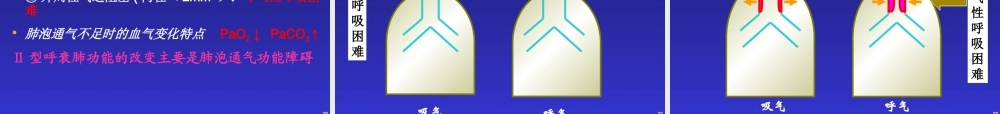 呼吸衰竭与呼吸支持技术完整