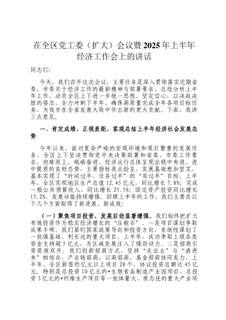 在全区党工委（扩大）会议暨2025年上半年经济工作会上的讲话