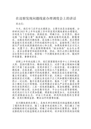 在巡察发现问题线索办理调度会上的讲话