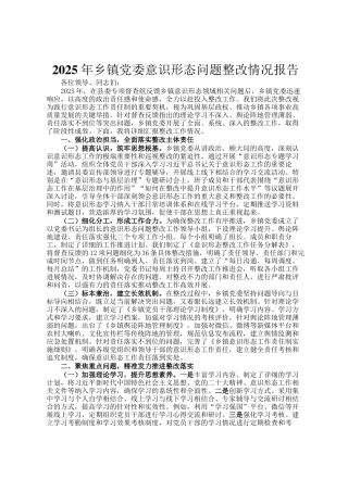 2025年乡镇党委意识形态问题整改情况报告