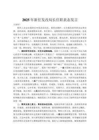 2025年新任发改局长任职表态发言