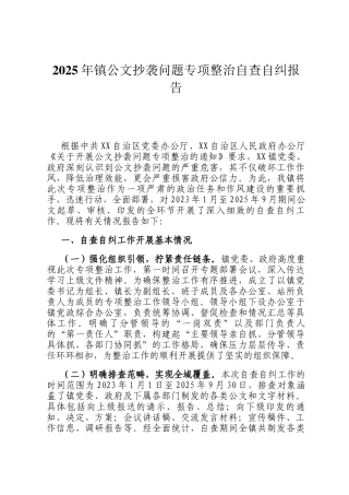 2025年镇公文抄袭问题专项整治自查自纠报告