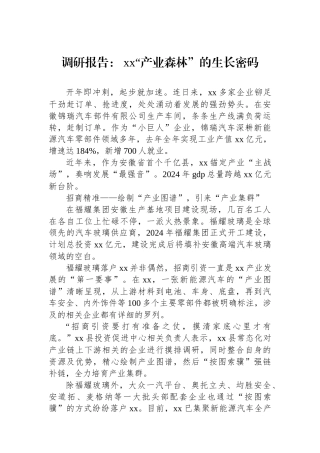 调研报告：+XX“产业森林”的生长密码