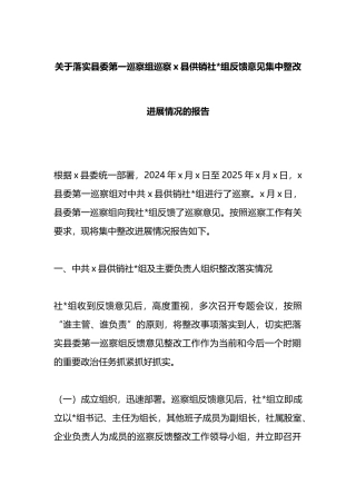 关于落实县委第一巡察组巡察X县供销社党组反馈意见集中整改进展情况的报告