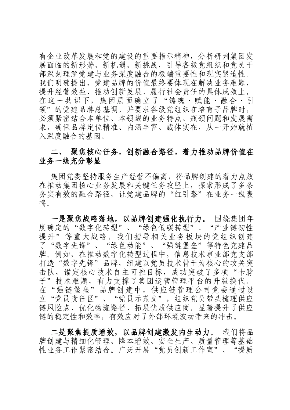 集团党委关于2025年党建品牌创建与业务融合发展的专题汇报_第2页
