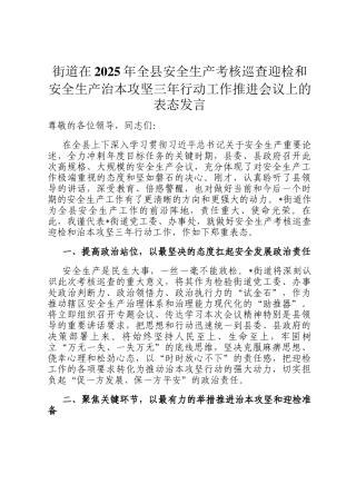 街道在2025年全县安全生产考核巡查迎检和安全生产治本攻坚三年行动工作推进会议上的表态发言