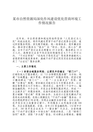 某市自然资源局深化作风建设优化营商环境工作情况报告