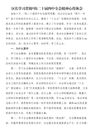 区长学习贯彻党的二十届四中全会精神心得体会