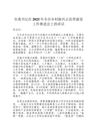 市委书记在2025年全市乡村振兴示范带建设工作推进会上的讲话