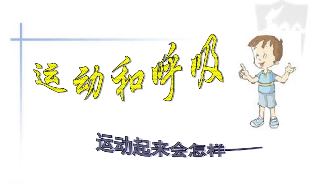四年级科学上册 《运动起来会怎样（一）》课件 教科版
