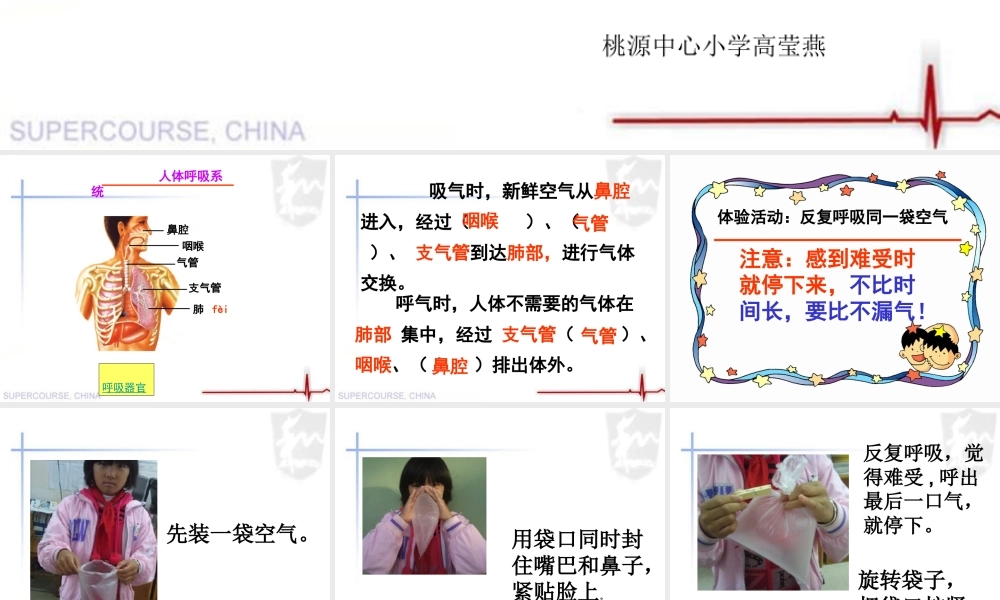 四年级科学上册 《运动起来会怎样（一）》课件 教科版