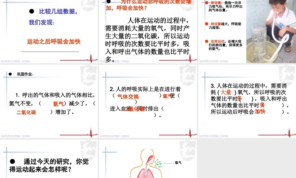 四年级科学上册 《运动起来会怎样（一）》课件 教科版