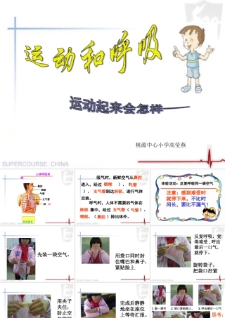 四年级科学上册 《运动起来会怎样（一）》课件 教科版