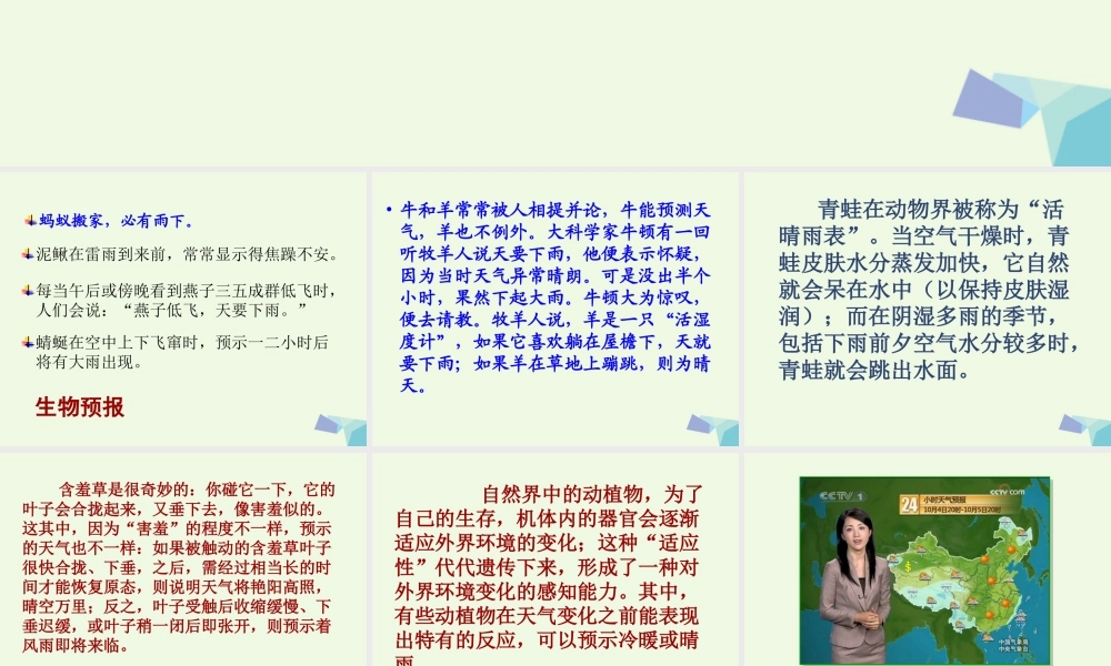 四年级科学上册 1.1 我们关心天气课件1 教科版-教科版小学四年级上册自然科学课件