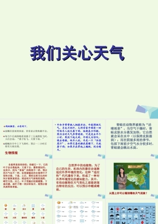 四年级科学上册 1.1 我们关心天气课件1 教科版-教科版小学四年级上册自然科学课件