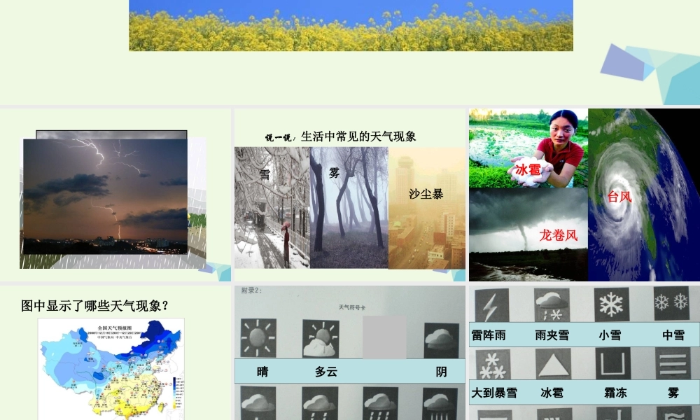 四年级科学上册 1.1 我们关心天气课件3 教科版-教科版小学四年级上册自然科学课件