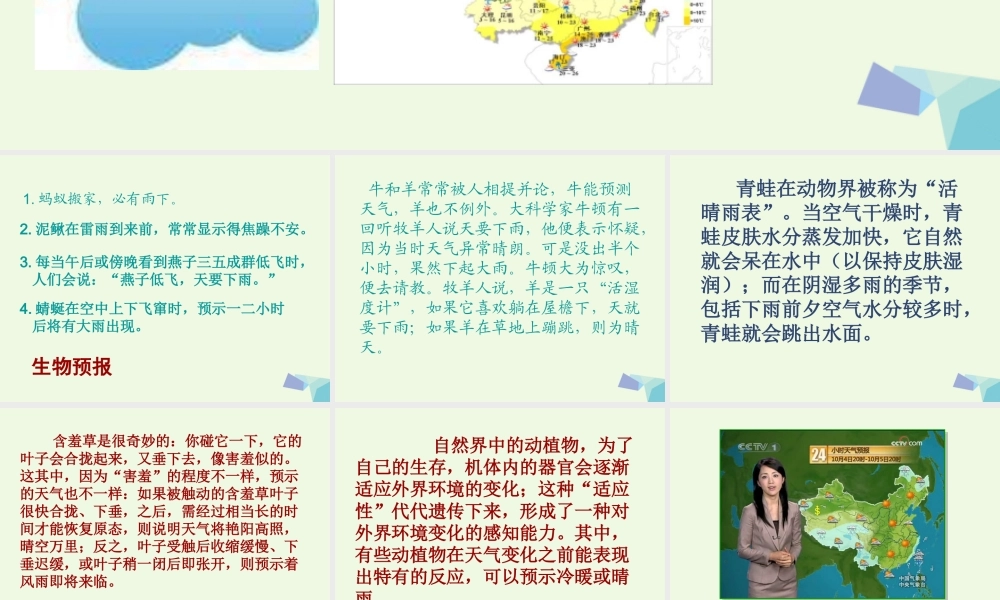 四年级科学上册 1.1 我们关心天气课件4 教科版-教科版小学四年级上册自然科学课件