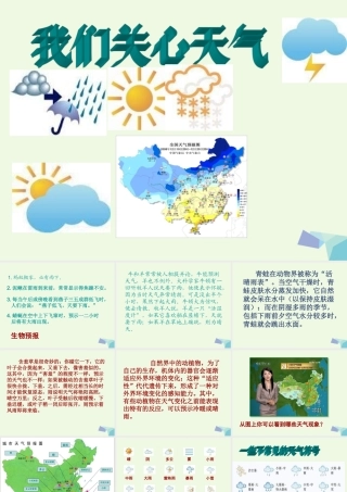 四年级科学上册 1.1 我们关心天气课件4 教科版-教科版小学四年级上册自然科学课件