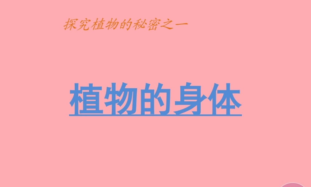 四年级科学上册 1.1 植物的身体课件1 湘教版-湘教版小学四年级上册自然科学课件