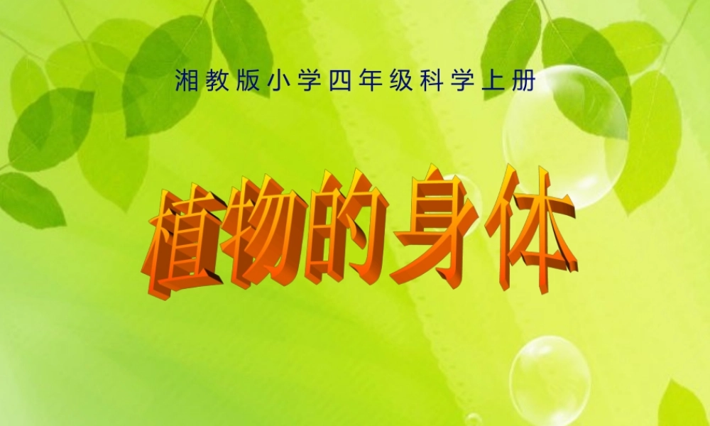 四年级科学上册 1.1 植物的身体课件2 湘教版-湘教版小学四年级上册自然科学课件