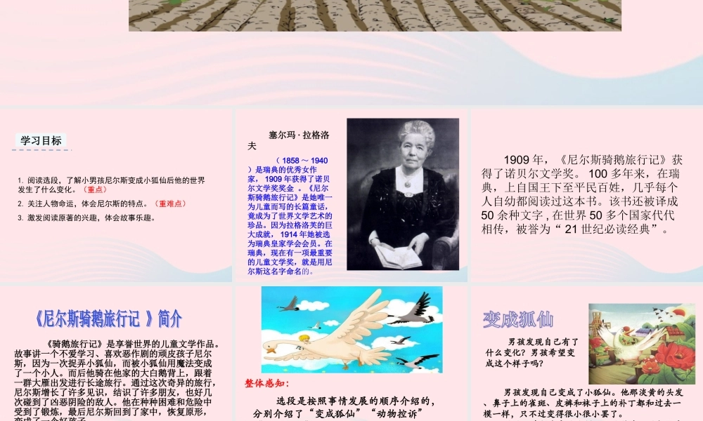 六年级语文下册 第二单元 6 骑鹅旅行记（节选）教学课件 新人教版-新人教版小学六年级下册语文课件