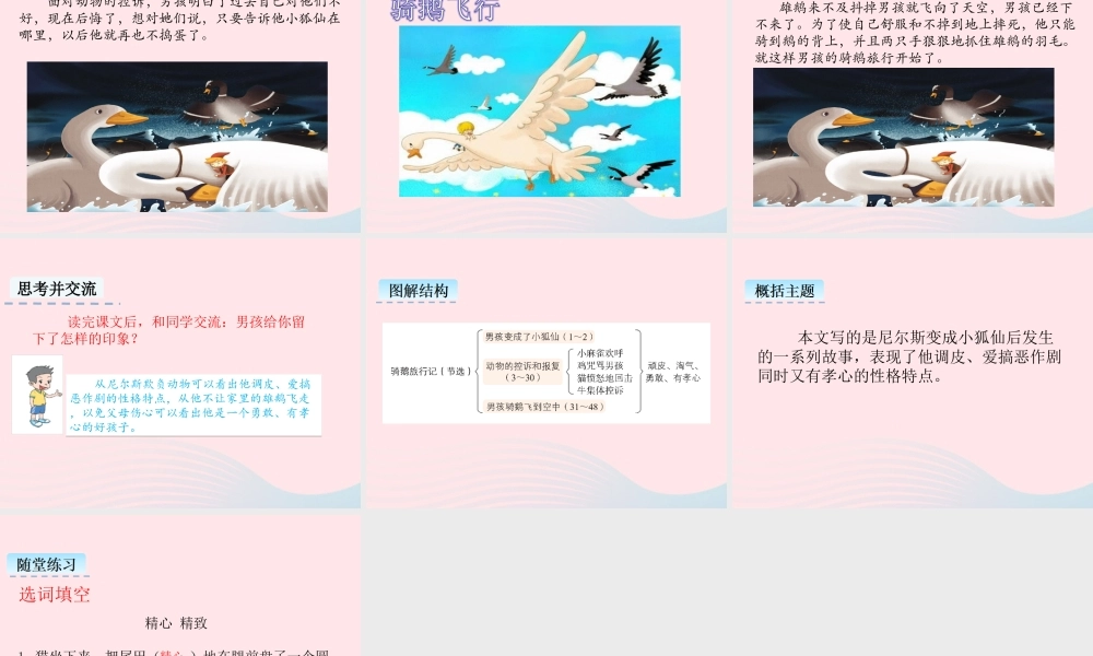 六年级语文下册 第二单元 6 骑鹅旅行记（节选）教学课件 新人教版-新人教版小学六年级下册语文课件