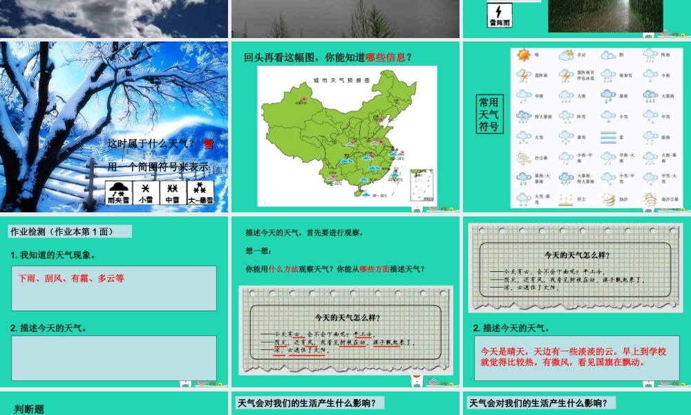 四年级科学上册 1.1我们关心天气课件 教科版-教科版小学四年级上册自然科学课件