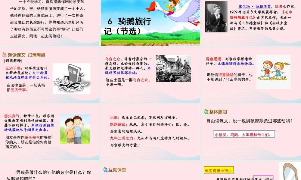 六年级语文下册 第二单元 6 骑鹅旅行记（节选）精品课件 新人教版-新人教版小学六年级下册语文课件