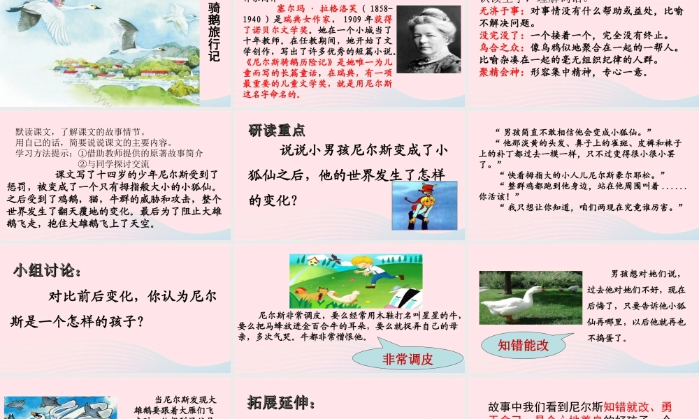 六年级语文下册 第二单元 6 骑鹅旅行记（节选）课件 新人教版-新人教版小学六年级下册语文课件