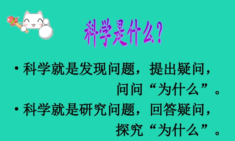 四年级科学上册 1.1我们关心天气课件2 教科版-教科版小学四年级上册自然科学课件
