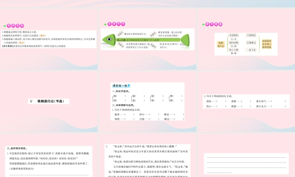 六年级语文下册 第二单元 6 骑鹅旅行记（节选）课件2 新人教版-新人教版小学六年级下册语文课件