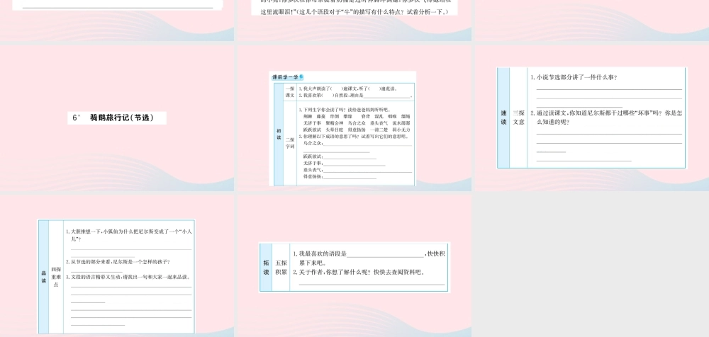 六年级语文下册 第二单元 6 骑鹅旅行记（节选）课件2 新人教版-新人教版小学六年级下册语文课件