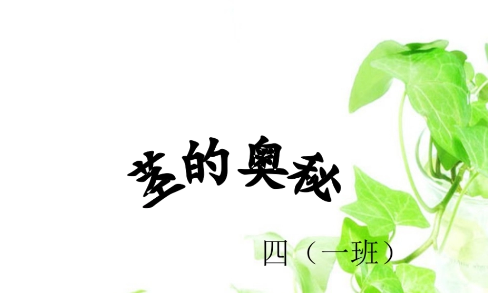 四年级科学上册 1.2 根与径的奥秘课件1 湘教版-湘教版小学四年级上册自然科学课件