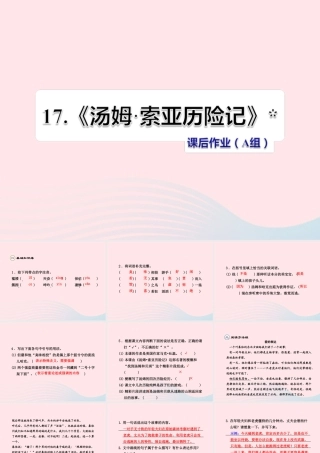 六年级语文下册 第四单元 17汤姆 索亚历险记（第2课时）课件 新人教版-新人教版小学六年级下册语文课件