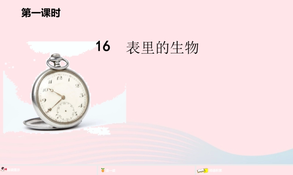 六年级语文下册 第5单元 16表里的生物课件 新人教版-新人教版小学六年级下册语文课件