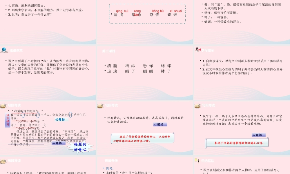 六年级语文下册 第5单元 16表里的生物课件 新人教版-新人教版小学六年级下册语文课件