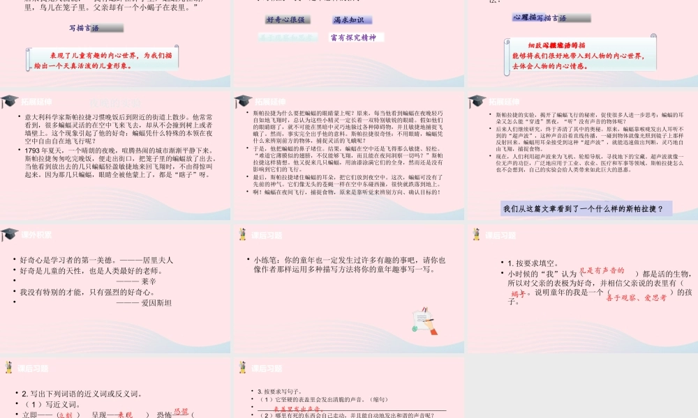 六年级语文下册 第5单元 16表里的生物课件 新人教版-新人教版小学六年级下册语文课件