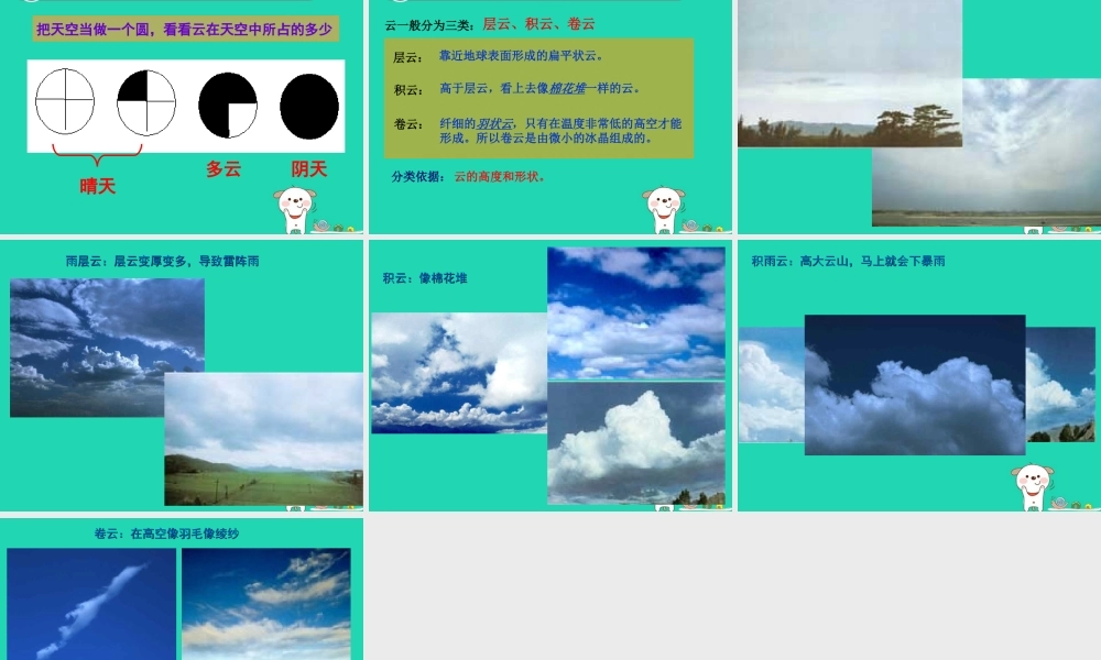 四年级科学上册 1.3 温度与气温课件 教科版-教科版小学四年级上册自然科学课件