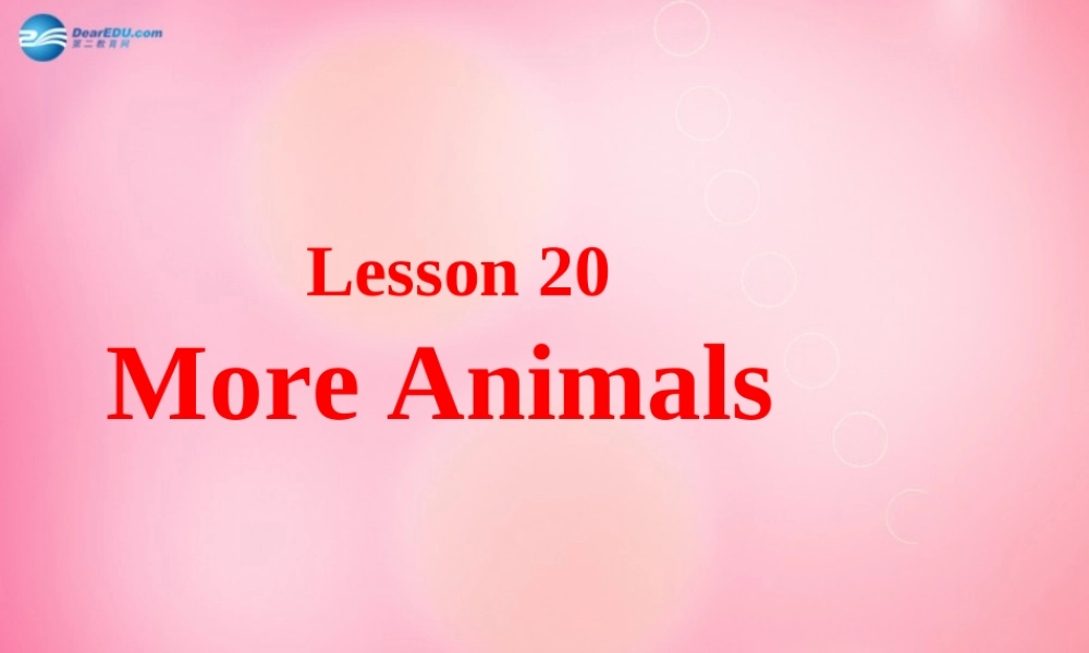 四年级英语上册 Unit 3 Animals on the Farm lessson20 More Animals课件 冀教版（三起）-冀教版小学四年级上册英语课件