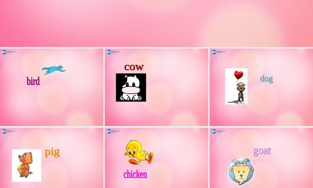 四年级英语上册 Unit 3 Animals on the Farm lessson20 More Animals课件 冀教版（三起）-冀教版小学四年级上册英语课件